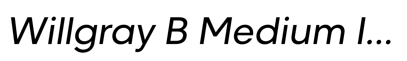 Willgray B Medium Italic